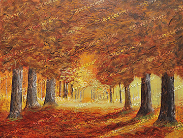 Autumn Trail