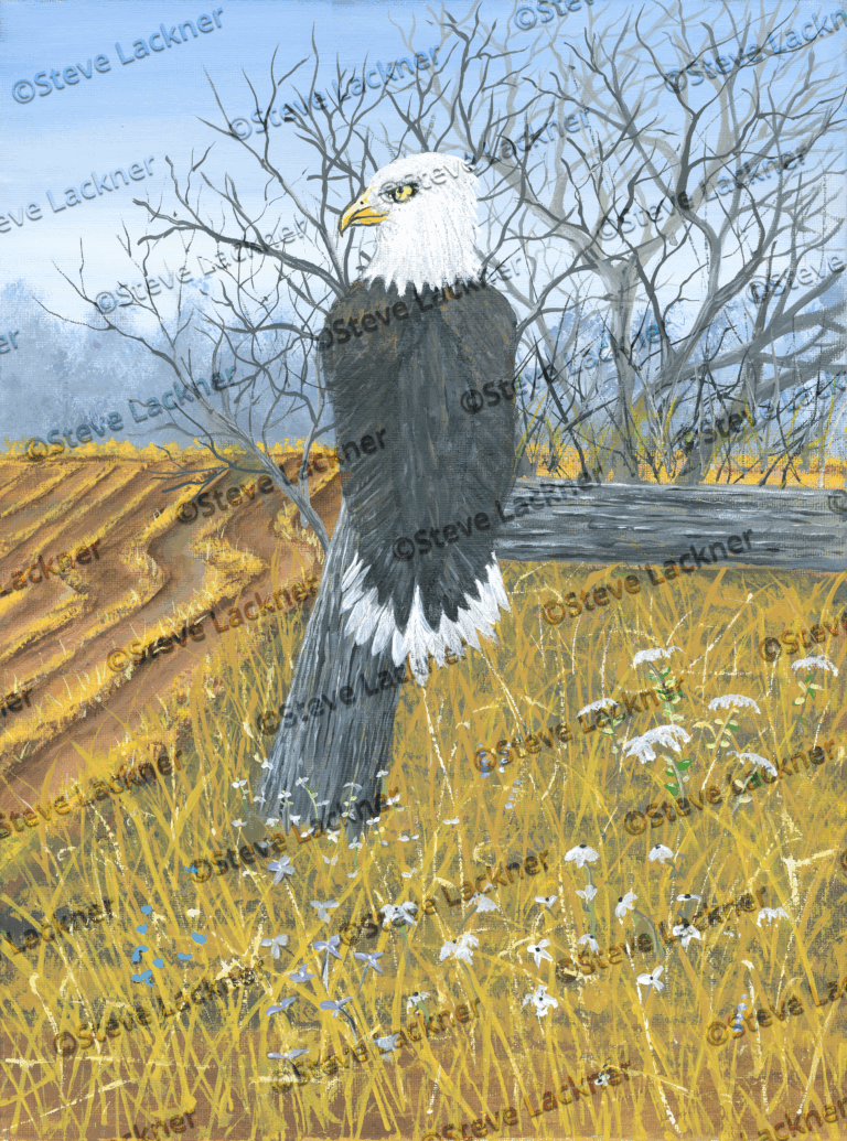 The Eagle