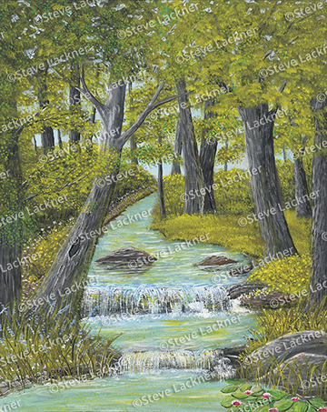 Forest Stream