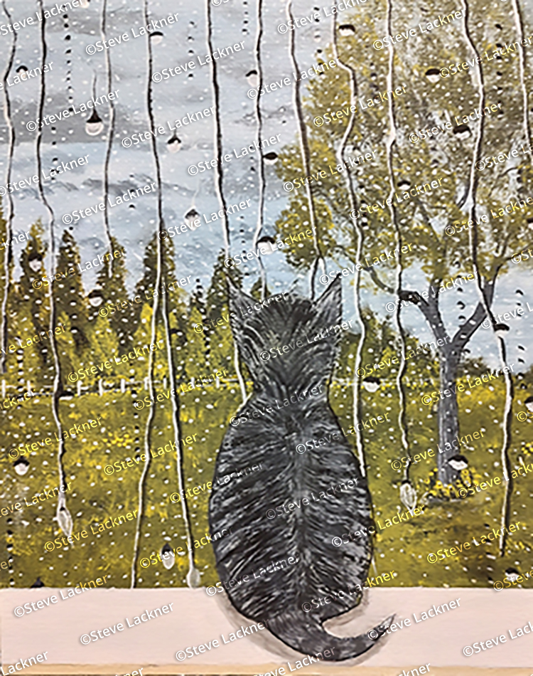 Rainy Cat