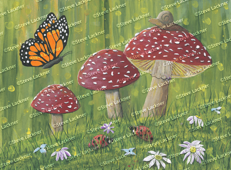 Woodland Wonders